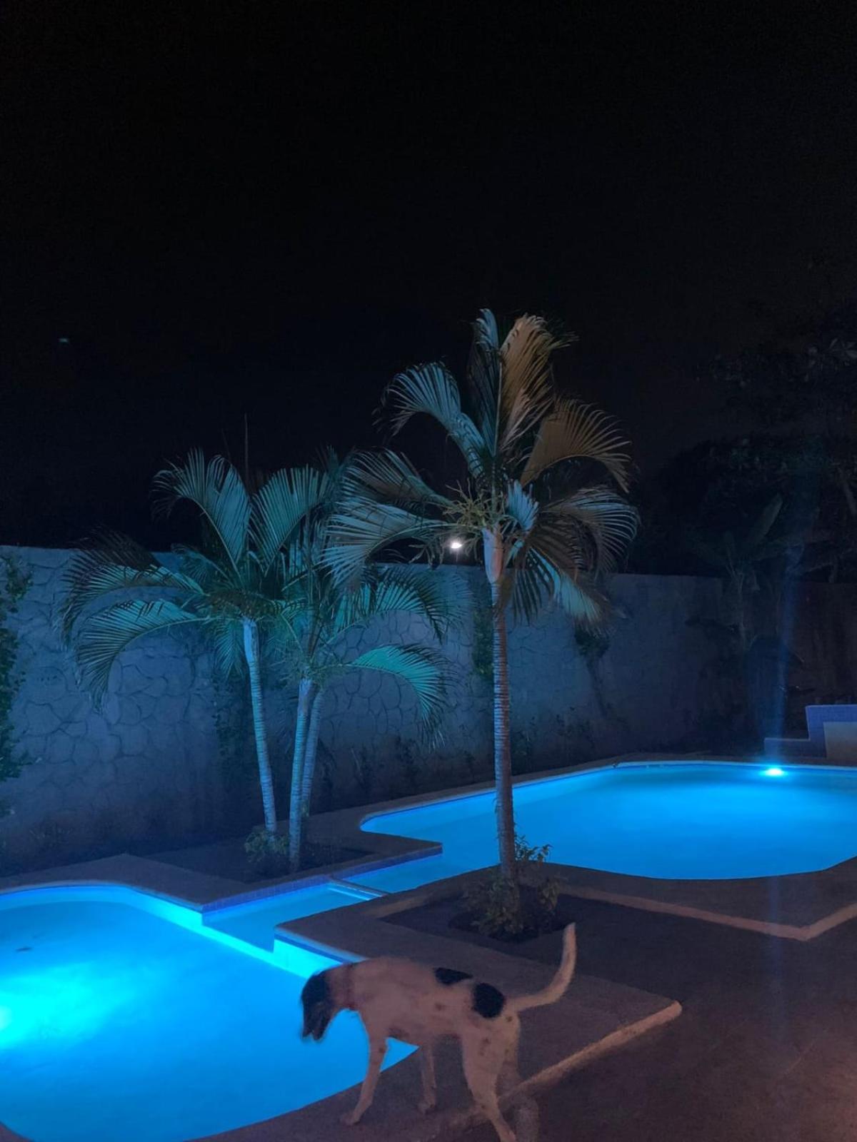 La Pucca Hotel Boutique Resort Penita de Jaltemba Bagian luar foto